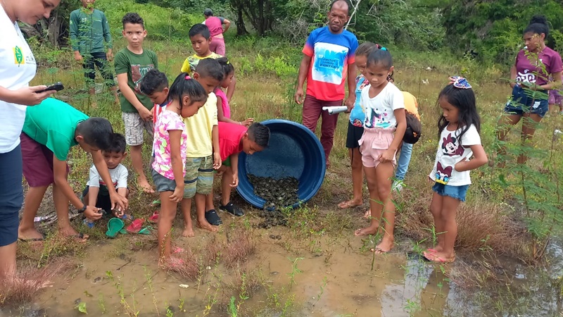 Em trabalho comunitário, mais de 800 filhotes de quelônios são devolvidos à natureza na RDS Rio Madeira