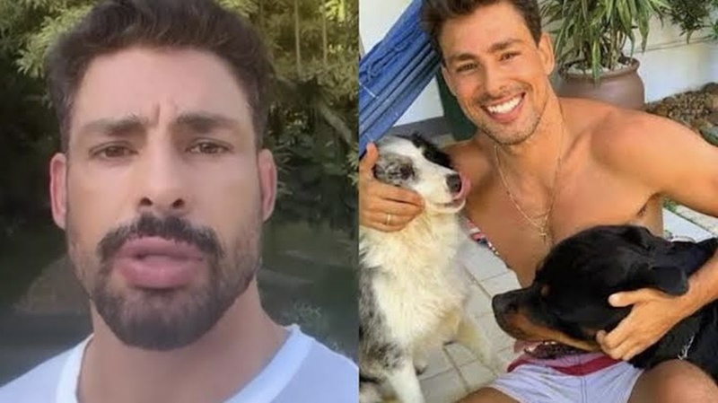 Cachorros de Cauã Reymond são envenen4d0s por crimin0sos; veja vídeo