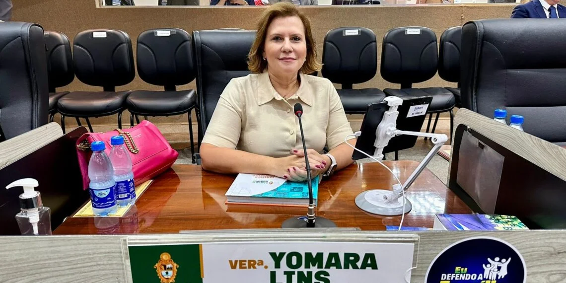 PL de Yomara Lins reforça cuidados com a saúde mental materna