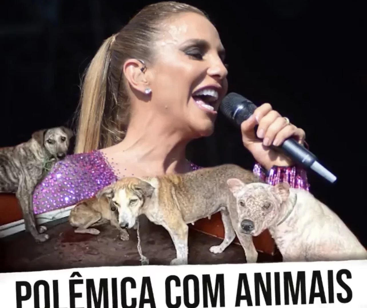 Ivete Sangalo se envolve em polêmica ao participar de festival acusado de matar cães para viabilizar o show da cantora