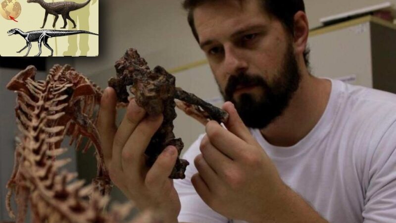 Fóssil de dinossauro que viveu há 237 milhões de anos é descoberto no Brasil