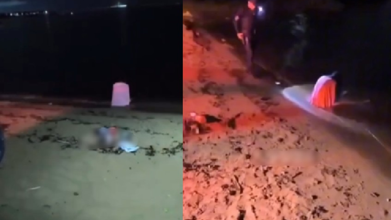 Vídeo: Guardas municipais se borram de med0 ao verem mulher murmurando na água na Ponta Negra