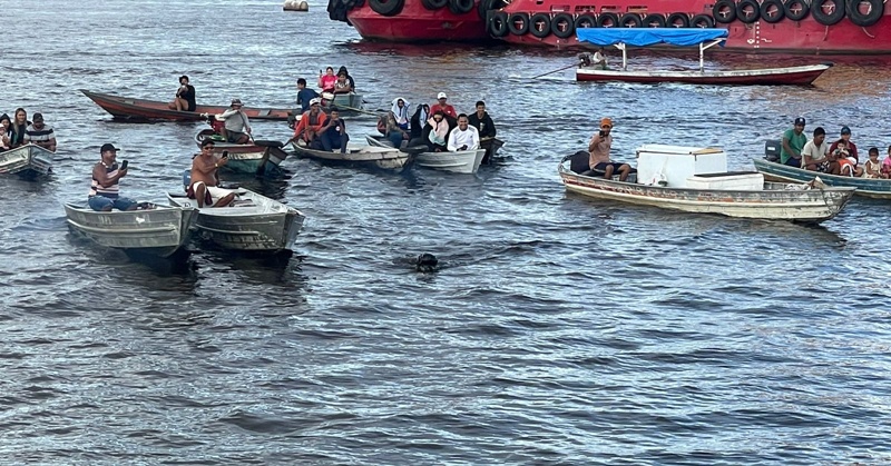 Coari recebe nadador que percorre o rio Amazonas em defesa da preservação ambiental