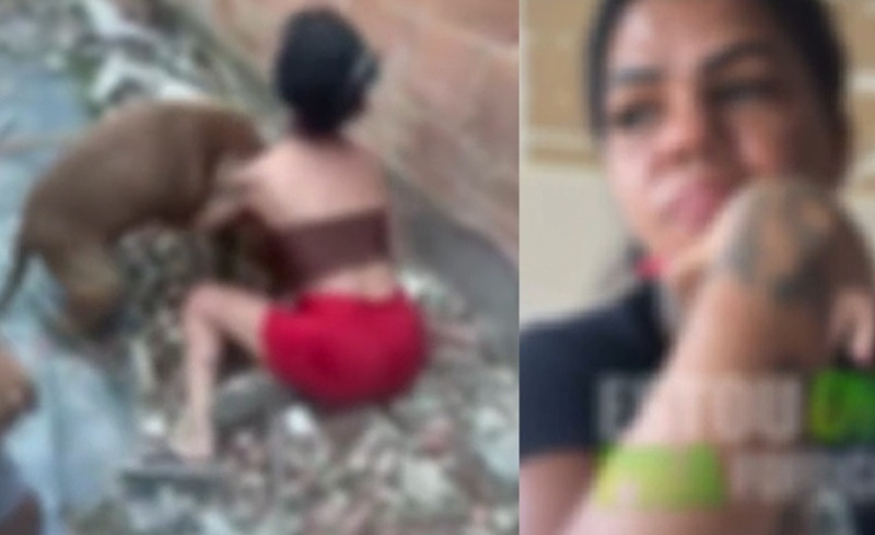 Mãe coloca pitbull para morder a filha ao descobrir que ela é do job e furt0u celular
