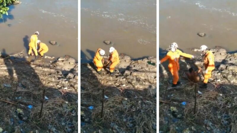 Vídeo: homem ‘morto’ desperta durante o resgate em rio na Bahia