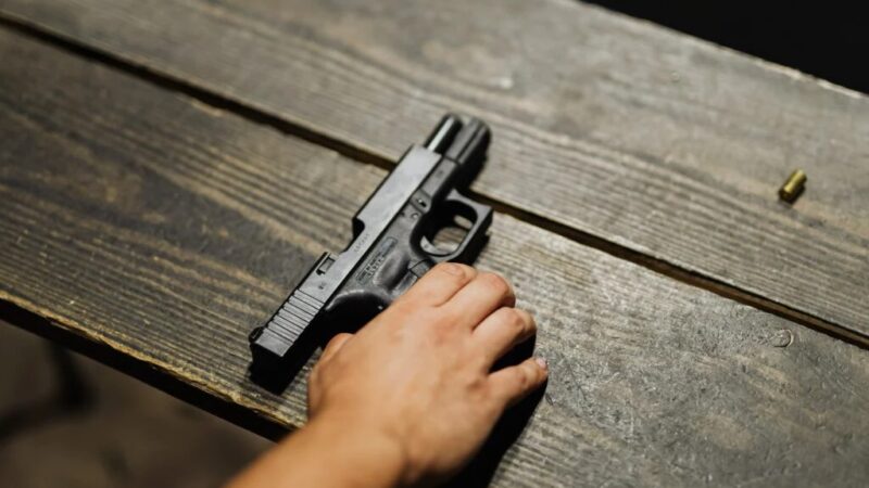 PF defende criação de certidão nacional para liberação de armas no país