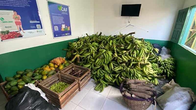 Amaturá: Idam atua no escoamento de 2,5 toneladas de alimentos comercializados via PAA