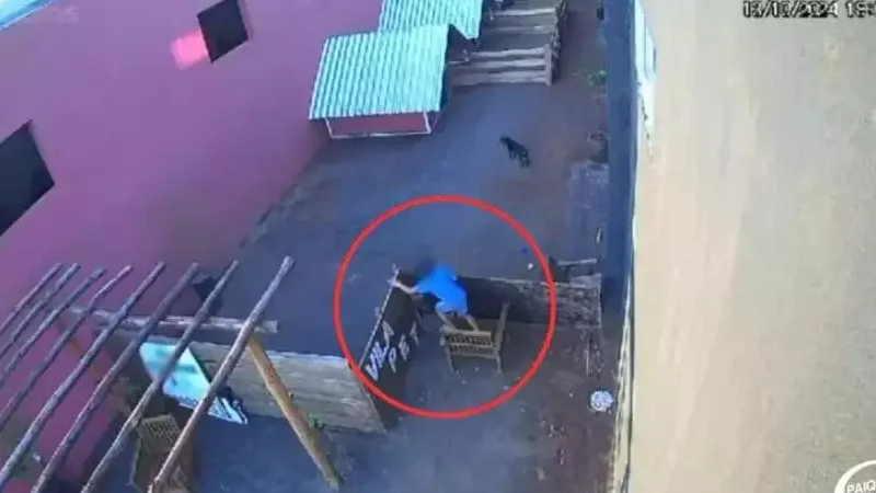 Menino de 9 anos invade hospital veterinário e mata 23 animais