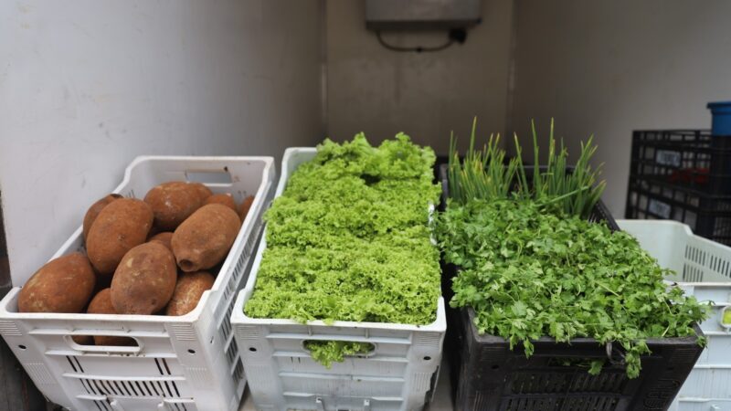 Dia Mundial da Alimentação: Sepror entrega mais de 120 toneladas de produtos da agricultura familiar para instituições socioassistenciais