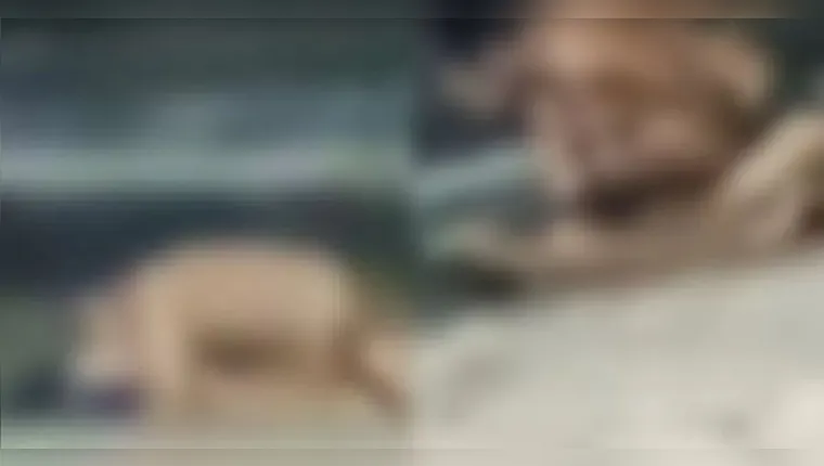 Homem gravado fazendo sexo em praia é afastado de concurso