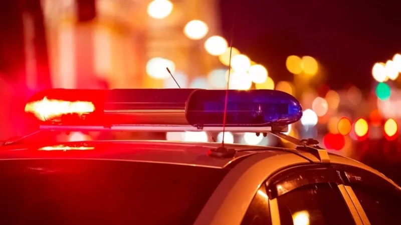 Grávida desaparecida é encontrada morta e enterrada no Pará