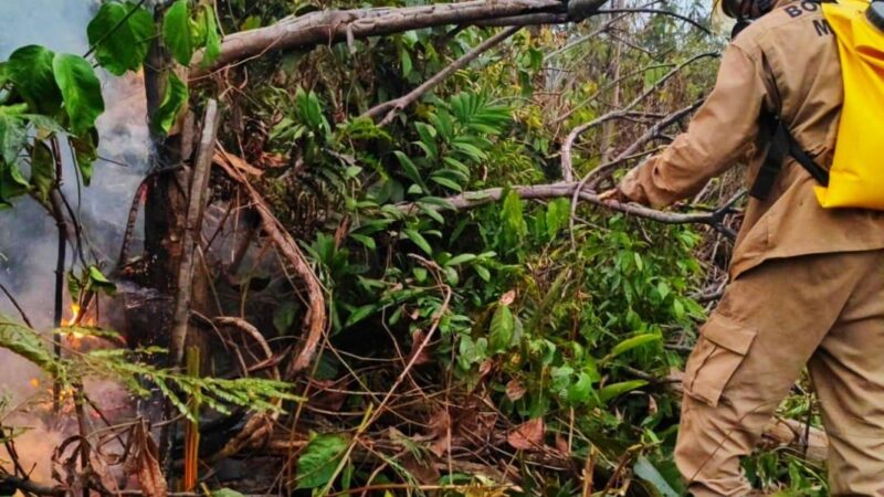 GOVERNO- Corpo de Bombeiros combate incêndio em área de vegetação na comunidade Parque das Tribos