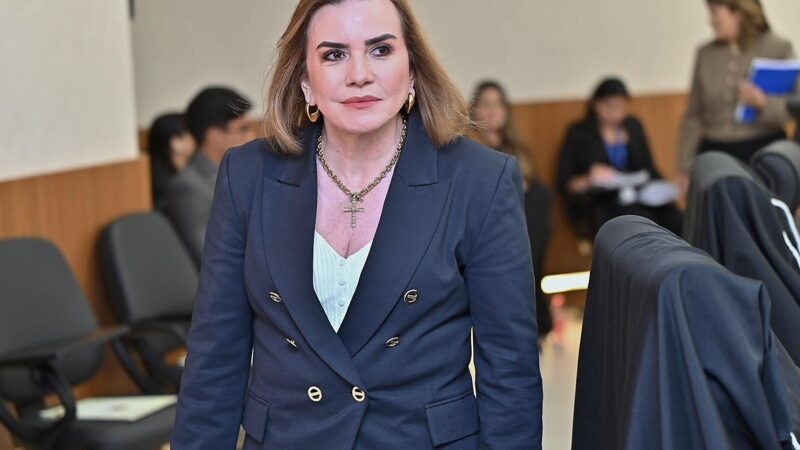 Tribunais de Contas: Guardiões da Cidadania e do Fortalecimento Institucional no Brasil