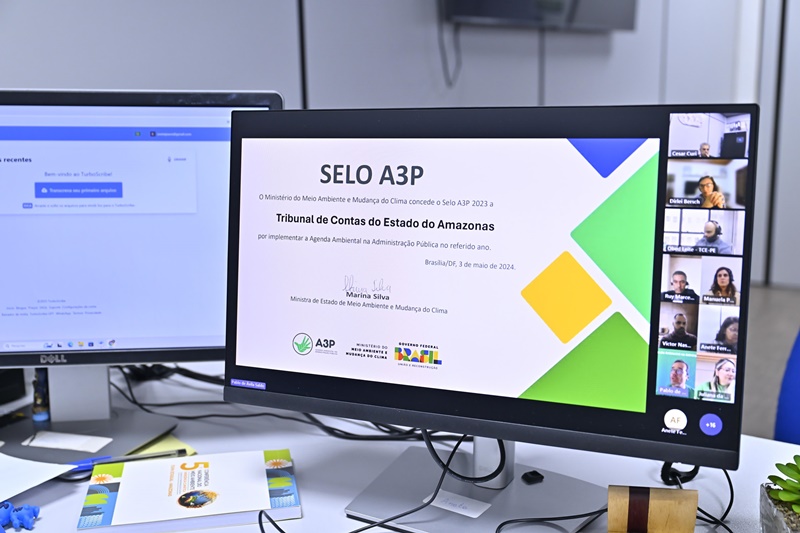 TCE-AM marca presença em reunião virtual do Comitê de Sustentabilidade do IRB e Ministério do Meio Ambiente